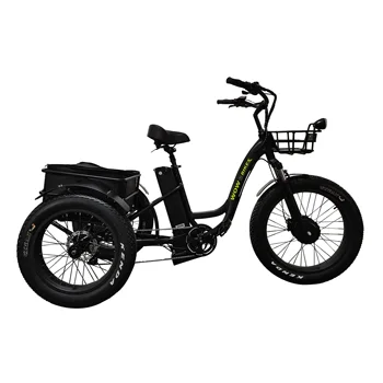 Ristar 2022 48V500W 700 Вт электрический пассажирский трехколесный велосипед для поездок (RSD-708)